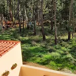 Frühstückspension Smiling Places - In Labruge