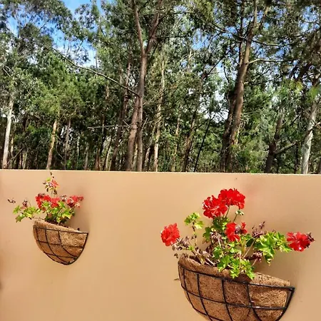 Smiling Places - In B&B *
