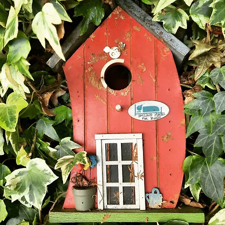 Bed & Breakfast Smiling Places - In 4*