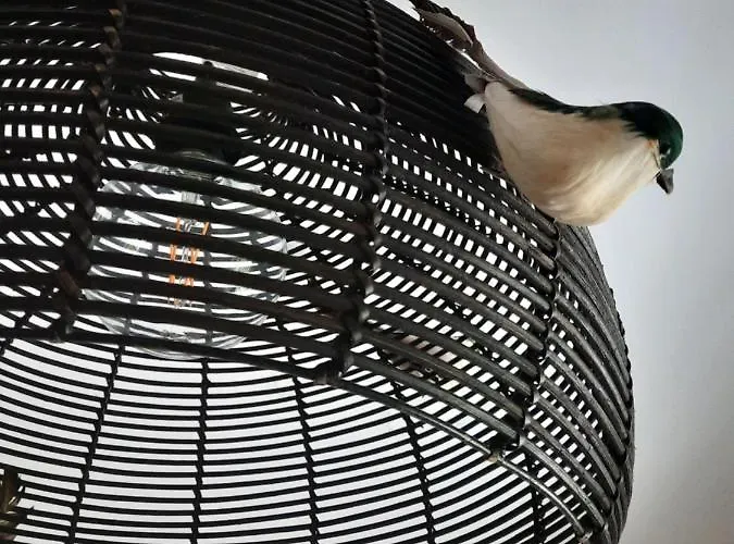 Smiling Places - In 4* Labruge