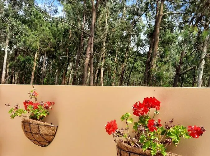 Smiling Places - In Nocleg ze śniadaniem 4*