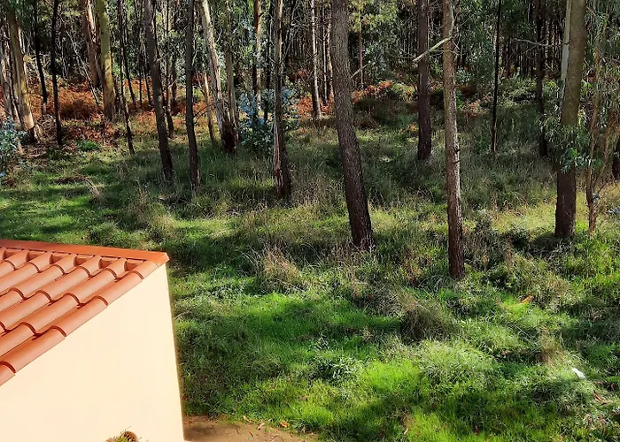 Bed & Breakfast Smiling Places - In Labruge